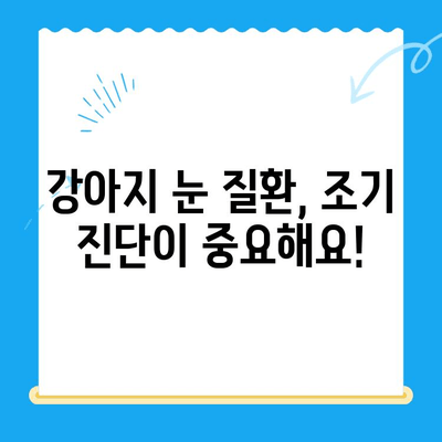 평택 오산 동물병원 응급센터 강아지 안과 검진 후기| 솔직한 경험 공유 | 안과 질환, 눈 건강, 동물병원 추천