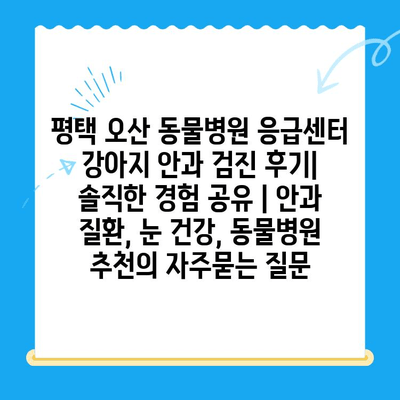 평택 오산 동물병원 응급센터 강아지 안과 검진 후기| 솔직한 경험 공유 | 안과 질환, 눈 건강, 동물병원 추천