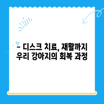 대구 24시 동물병원 강아지 디스크 검진 후기| 실제 경험 공유 | 디스크, 척추, 진료, 비용, 후기