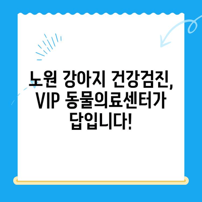 노원 강아지 건강검진 추천| VIP 동물의료센터 초음파 검사 & 24시 운영 | 노원 동물병원, 강아지 건강, 동물병원 추천