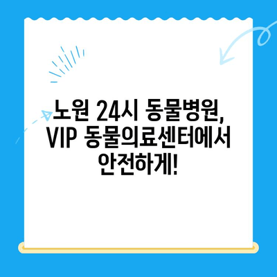 노원 강아지 건강검진 추천| VIP 동물의료센터 초음파 검사 & 24시 운영 | 노원 동물병원, 강아지 건강, 동물병원 추천