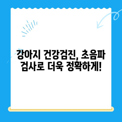 노원 강아지 건강검진 추천| VIP 동물의료센터 초음파 검사 & 24시 운영 | 노원 동물병원, 강아지 건강, 동물병원 추천