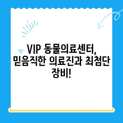 노원 강아지 건강검진 추천| VIP 동물의료센터 초음파 검사 & 24시 운영 | 노원 동물병원, 강아지 건강, 동물병원 추천