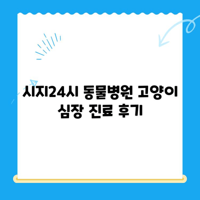 시지24시동물병원 고양이 심장진료 후기| 실제 경험과 진료 과정 공유 | 시지 동물병원, 고양이 심장병, 진료 후기, 비용