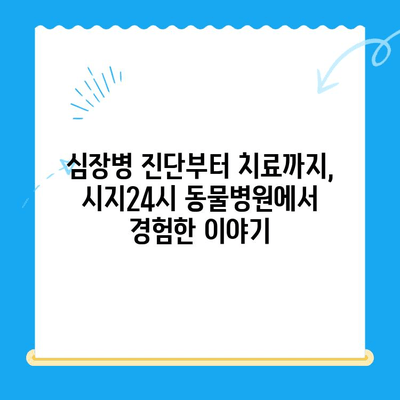 시지24시동물병원 고양이 심장진료 후기| 실제 경험과 진료 과정 공유 | 시지 동물병원, 고양이 심장병, 진료 후기, 비용