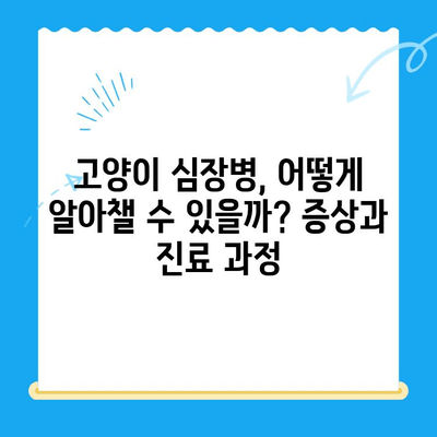 시지24시동물병원 고양이 심장진료 후기| 실제 경험과 진료 과정 공유 | 시지 동물병원, 고양이 심장병, 진료 후기, 비용