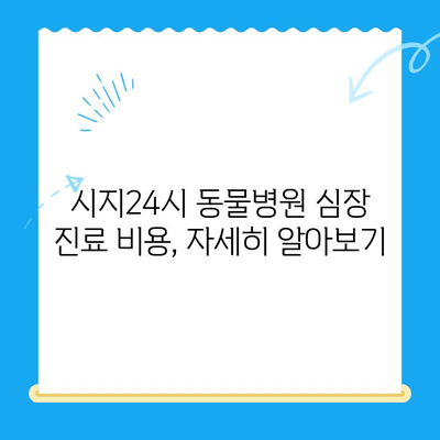 시지24시동물병원 고양이 심장진료 후기| 실제 경험과 진료 과정 공유 | 시지 동물병원, 고양이 심장병, 진료 후기, 비용