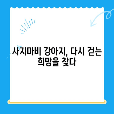 원주 강아지 사지마비 치료 후기| 24시 스카이 동물의료센터에서 찾은 희망 | 강아지, 사지마비, 재활, 치료, 후기, 동물병원