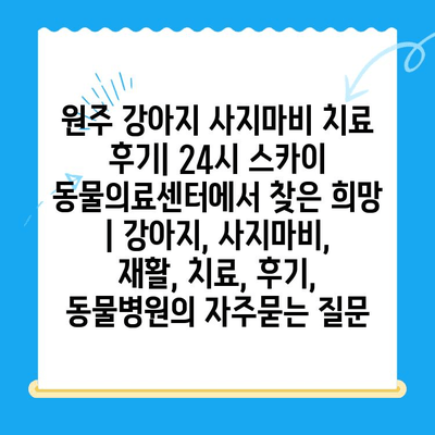 원주 강아지 사지마비 치료 후기| 24시 스카이 동물의료센터에서 찾은 희망 | 강아지, 사지마비, 재활, 치료, 후기, 동물병원