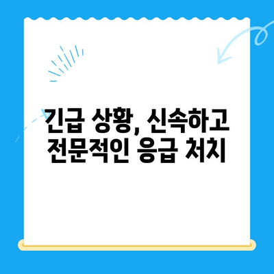 대구 24시간 강아지 디스크 전문 동물병원| 긴급 상황, 안전하게 대처하세요 | 24시간 진료, 디스크 치료, 응급처치, 전문의