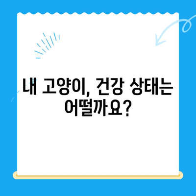 고양이 건강 체크| 24시 동물병원 검진 가이드 | 고양이 건강, 건강 검진, 동물병원, 24시 진료