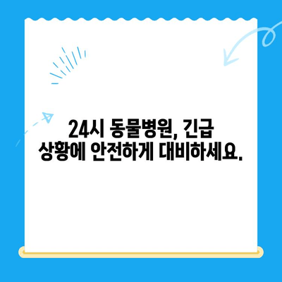 고양이 건강 체크| 24시 동물병원 검진 가이드 | 고양이 건강, 건강 검진, 동물병원, 24시 진료