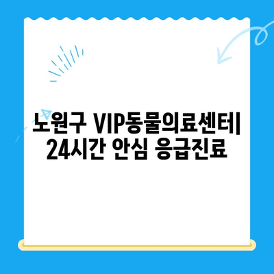 노원구 VIP동물의료센터| 강아지 건강검진 & 초음파 전문, 24시간 응급진료 가능 | 반려동물 건강, 안전, 신뢰