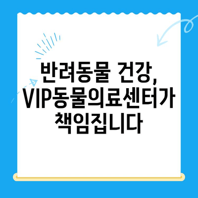 노원구 VIP동물의료센터| 강아지 건강검진 & 초음파 전문, 24시간 응급진료 가능 | 반려동물 건강, 안전, 신뢰