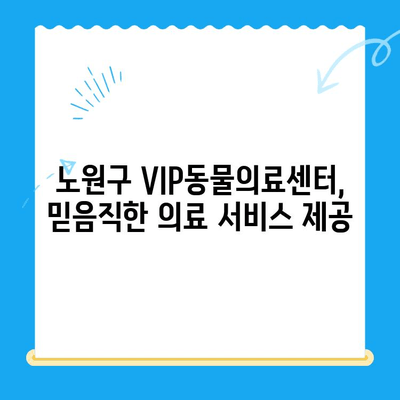 노원구 VIP동물의료센터| 강아지 건강검진 & 초음파 전문, 24시간 응급진료 가능 | 반려동물 건강, 안전, 신뢰