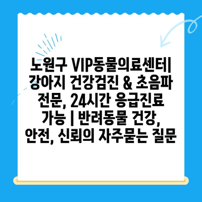 노원구 VIP동물의료센터| 강아지 건강검진 & 초음파 전문, 24시간 응급진료 가능 | 반려동물 건강, 안전, 신뢰