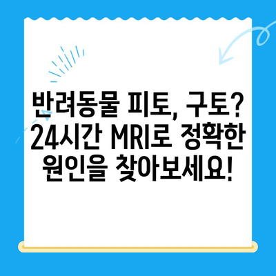 24시간 MRI로 반려동물 피토 구토 원인 파악, 동물병원 치료비 정보 | 동물병원, 응급진료, 치료비용, 24시간 진료