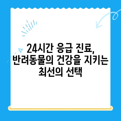 24시간 MRI로 반려동물 피토 구토 원인 파악, 동물병원 치료비 정보 | 동물병원, 응급진료, 치료비용, 24시간 진료