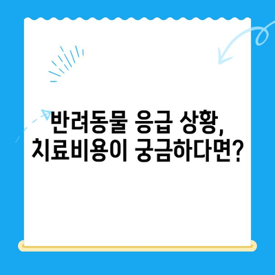 24시간 MRI로 반려동물 피토 구토 원인 파악, 동물병원 치료비 정보 | 동물병원, 응급진료, 치료비용, 24시간 진료