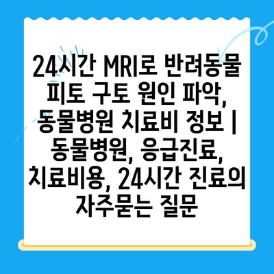 24시간 MRI로 반려동물 피토 구토 원인 파악, 동물병원 치료비 정보 | 동물병원, 응급진료, 치료비용, 24시간 진료
