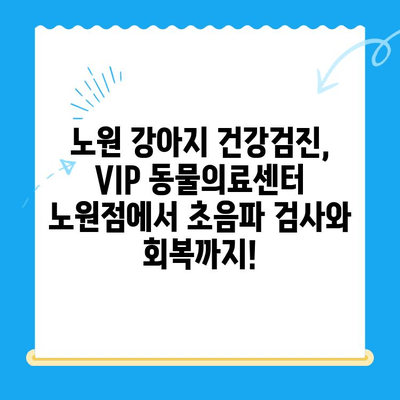 노원 강아지 건강검진, VIP 동물의료센터 노원점에서 초음파 검사와 회복까지! | 24시 동물병원, 강아지 건강, 건강검진, 초음파