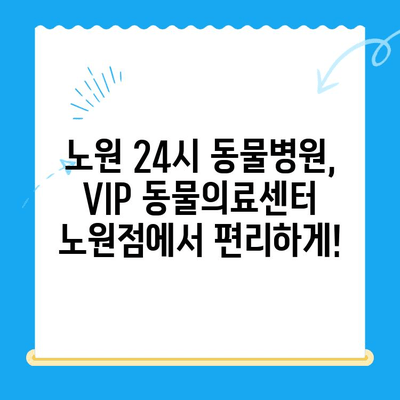 노원 강아지 건강검진, VIP 동물의료센터 노원점에서 초음파 검사와 회복까지! | 24시 동물병원, 강아지 건강, 건강검진, 초음파