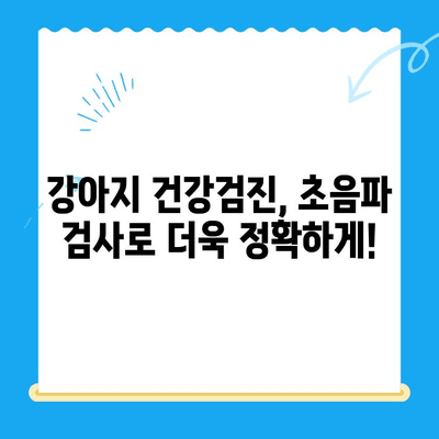 노원 강아지 건강검진, VIP 동물의료센터 노원점에서 초음파 검사와 회복까지! | 24시 동물병원, 강아지 건강, 건강검진, 초음파