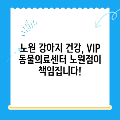 노원 강아지 건강검진, VIP 동물의료센터 노원점에서 초음파 검사와 회복까지! | 24시 동물병원, 강아지 건강, 건강검진, 초음파