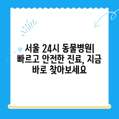 서울 24시 동물병원 찾기| 응급 상황, 진료 가능한 병원 목록 | 야간 진료, 동물 응급, 서울 동물병원