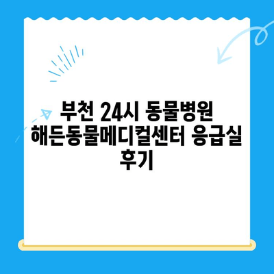 부천 24시 동물병원 해든동물메디컬센터 응급실 이용 후기| 솔직한 경험 공유 | 부천, 동물병원, 응급실, 야간진료, 해든동물메디컬센터