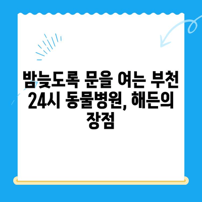 부천 24시 동물병원 해든동물메디컬센터 응급실 이용 후기| 솔직한 경험 공유 | 부천, 동물병원, 응급실, 야간진료, 해든동물메디컬센터