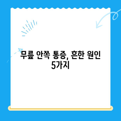 무릎 안쪽 통증과 시큰함, 왜 그럴까요? 원인과 관리법 완벽 가이드 | 무릎 통증, 시큰거림, 무릎 안쪽 통증 원인, 무릎 통증 관리