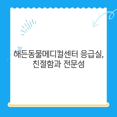 부천 24시 동물병원 해든동물메디컬센터 응급실 이용 후기| 솔직한 경험 공유 | 부천, 동물병원, 응급실, 야간진료, 해든동물메디컬센터