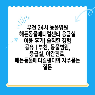 부천 24시 동물병원 해든동물메디컬센터 응급실 이용 후기| 솔직한 경험 공유 | 부천, 동물병원, 응급실, 야간진료, 해든동물메디컬센터