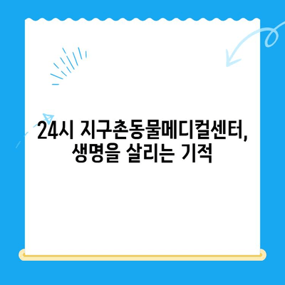 강아지 청색증 & 혈관육종, 24시 지구촌동물메디컬센터 수술 후기| 희망을 찾은 이야기 | 반려견, 수술, 치료, 회복