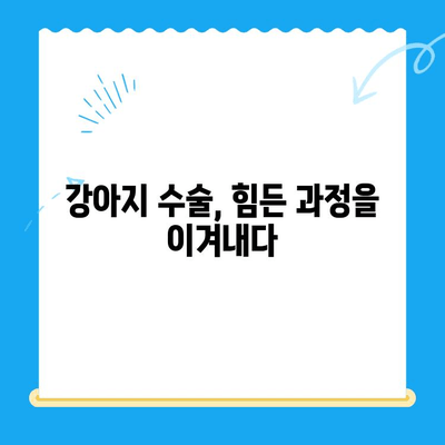 강아지 청색증 & 혈관육종, 24시 지구촌동물메디컬센터 수술 후기| 희망을 찾은 이야기 | 반려견, 수술, 치료, 회복