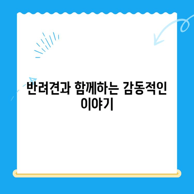 강아지 청색증 & 혈관육종, 24시 지구촌동물메디컬센터 수술 후기| 희망을 찾은 이야기 | 반려견, 수술, 치료, 회복