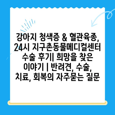 강아지 청색증 & 혈관육종, 24시 지구촌동물메디컬센터 수술 후기| 희망을 찾은 이야기 | 반려견, 수술, 치료, 회복