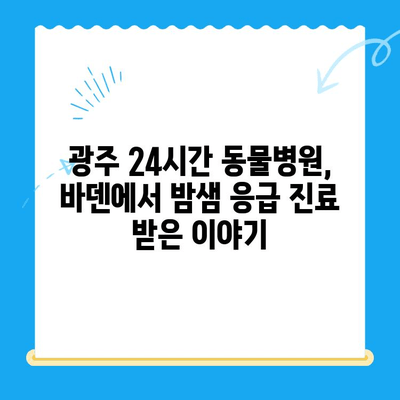 24시간 광주 동물병원, 바덴 동물메디컬센터 방문 후기| 밤샘 응급 진료 경험 공유 | 광주 동물병원, 야간 진료, 응급 상황, 동물병원 후기