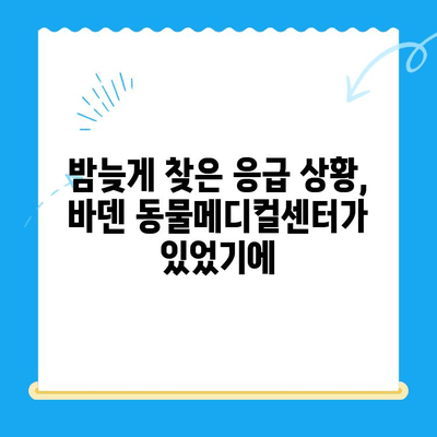 24시간 광주 동물병원, 바덴 동물메디컬센터 방문 후기| 밤샘 응급 진료 경험 공유 | 광주 동물병원, 야간 진료, 응급 상황, 동물병원 후기