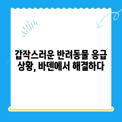 24시간 광주 동물병원, 바덴 동물메디컬센터 방문 후기| 밤샘 응급 진료 경험 공유 | 광주 동물병원, 야간 진료, 응급 상황, 동물병원 후기