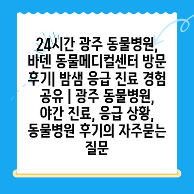 24시간 광주 동물병원, 바덴 동물메디컬센터 방문 후기| 밤샘 응급 진료 경험 공유 | 광주 동물병원, 야간 진료, 응급 상황, 동물병원 후기