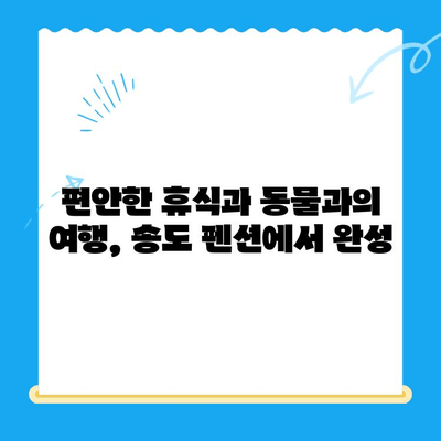 송도 동물병원 24시 근처 펜션 예약 필수 정보| 숙박 정보, 편의시설, 주변 명소까지 한번에! | 송도, 동물병원, 펜션, 예약, 숙박, 정보