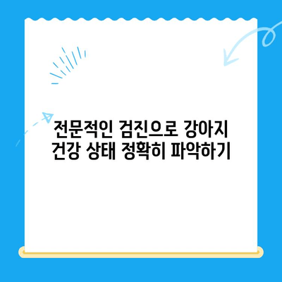 광주 바덴 동물메디컬센터 강아지 건강검진| 전문적인 검진 & 맞춤 관리 | 광주 동물병원, 강아지 건강, 건강검진, 얼음