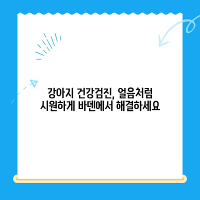 광주 바덴 동물메디컬센터 강아지 건강검진| 전문적인 검진 & 맞춤 관리 | 광주 동물병원, 강아지 건강, 건강검진, 얼음