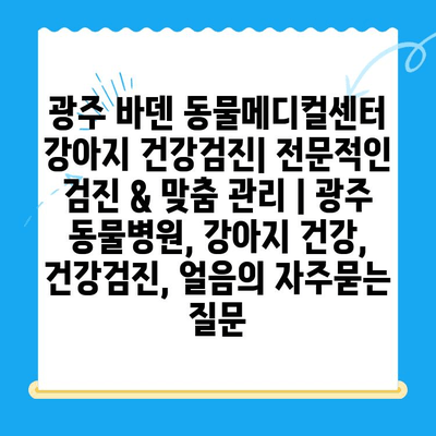 광주 바덴 동물메디컬센터 강아지 건강검진| 전문적인 검진 & 맞춤 관리 | 광주 동물병원, 강아지 건강, 건강검진, 얼음