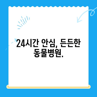 광주 24시 바덴동물메디컬센터 방문 후기| 밤낮없이 지켜주는 든든한 동물병원 | 24시 응급진료, 친절한 의료진, 반려동물 건강