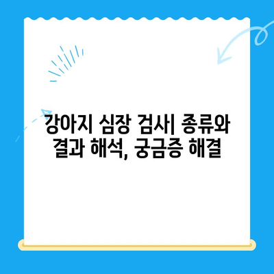 24시간 동물병원에서 강아지 심장 검사| 진료부터 결과 해석까지 | 심장병, 응급, 검사 비용, 24시간 동물병원