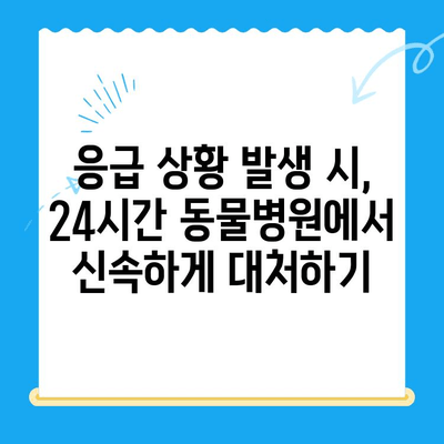 24시간 동물병원에서 강아지 심장 검사| 진료부터 결과 해석까지 | 심장병, 응급, 검사 비용, 24시간 동물병원