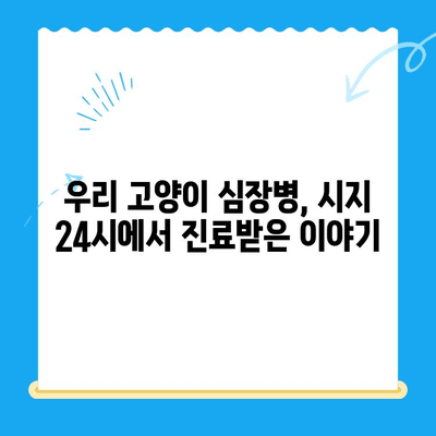 시지 24시 동물병원 고양이 심장 진료 후기| 솔직한 경험 공유 | 고양이 심장병, 동물병원 추천, 진료 후기